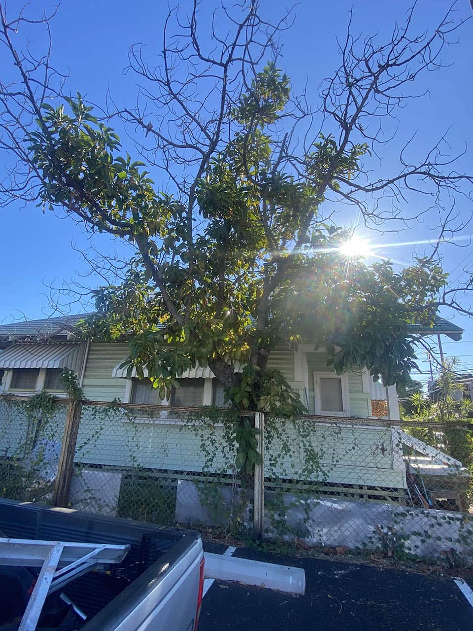 Before 6-min Before 6-min